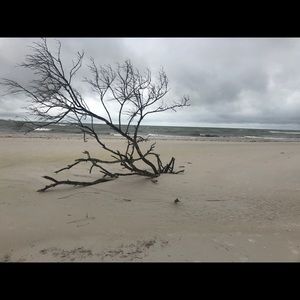 Meet your Posher, Savannah